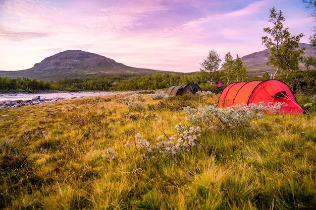 Guide to the Best Sites for Camping in Iceland 