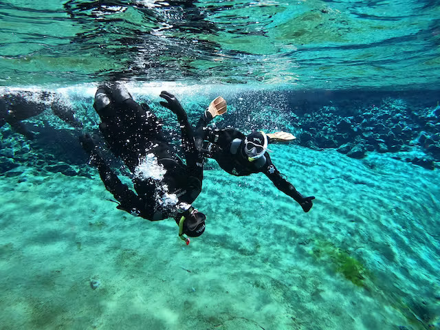 Transfer - Snorkeling in Silfra