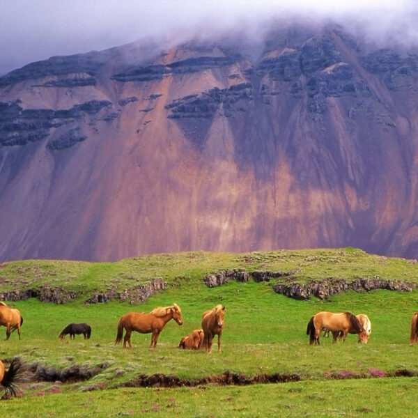 4-Day Laugavegur Trek: Explore Iceland's Stunning Landscape