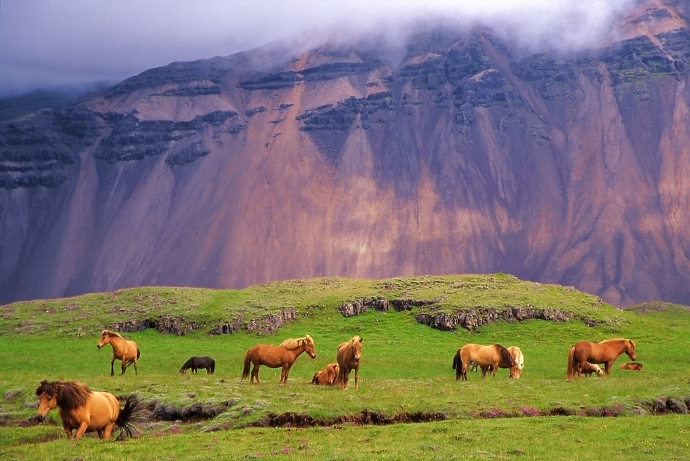 4-Day Laugavegur Trek: Explore Iceland's Stunning Landscape