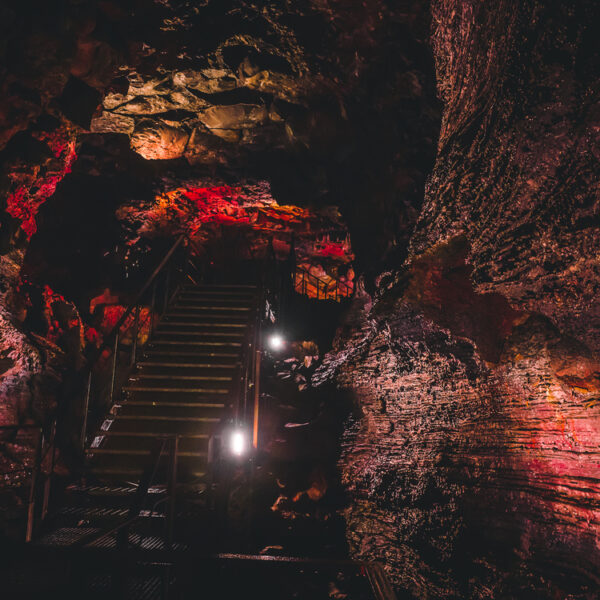 Explore The Lava Tunnel & Whale Watching